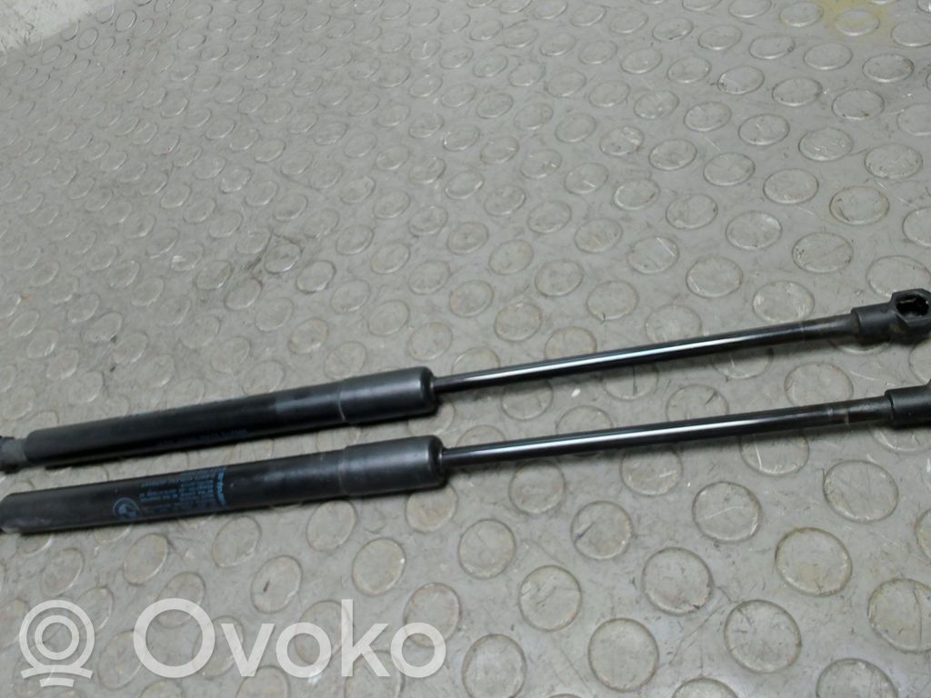 Tailgate/trunk strut/damper
