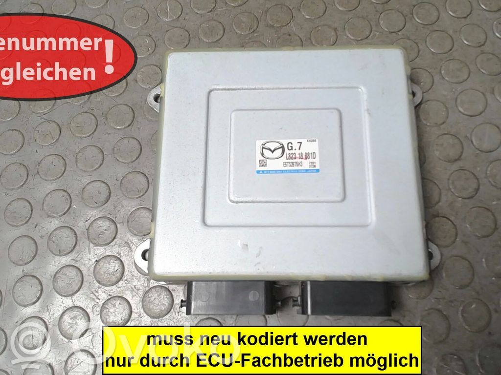 Engine control unit/module   L82318881E,E6T53976H3,L82318881D