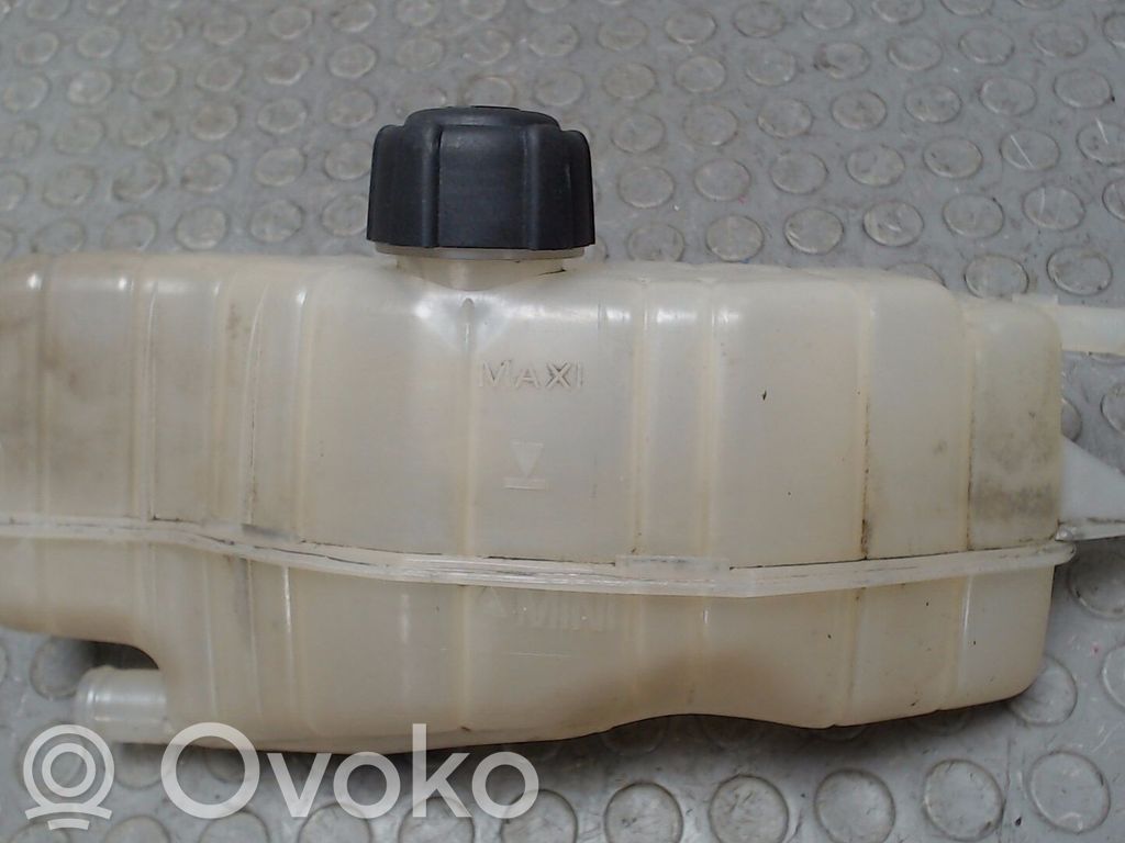 Renault Clio III Serbatoio di compensazione del liquido refrigerante/vaschetta