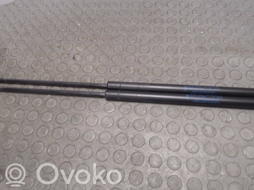 Ford Focus Tailgate/trunk strut/damper 