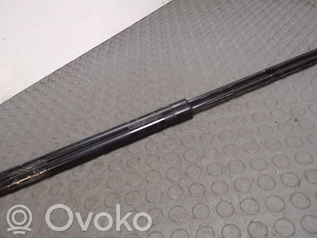 Renault Kangoo I Tailgate/trunk strut/damper 