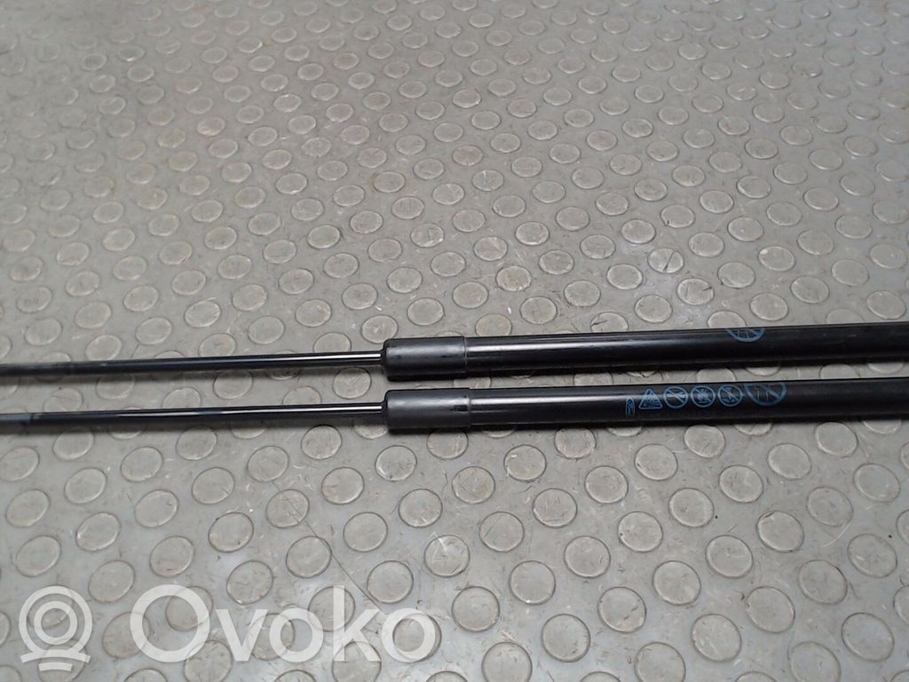Ford Fiesta Tailgate/trunk strut/damper 