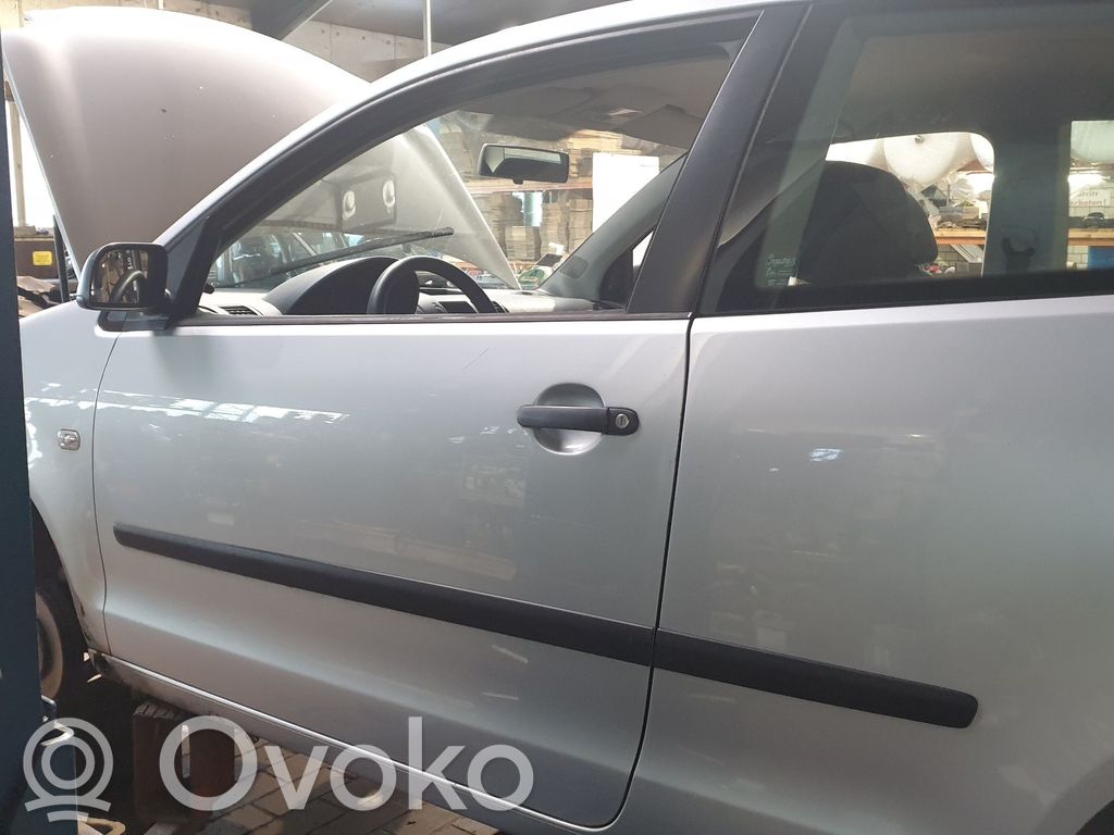 Volkswagen Polo IV 9N3 Portiera anteriore