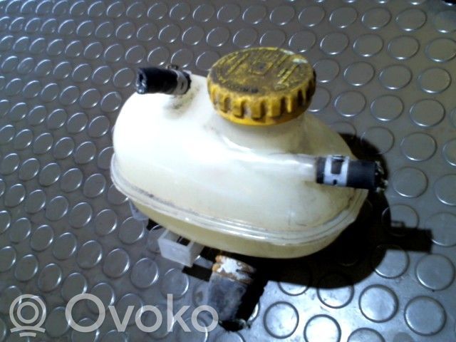 Zbiornik wyrównawczy chłodziwa   04701659,04701659,9204245