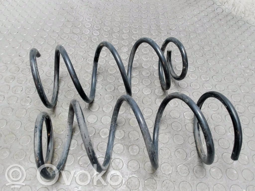 Muelle espiral trasero   96682490