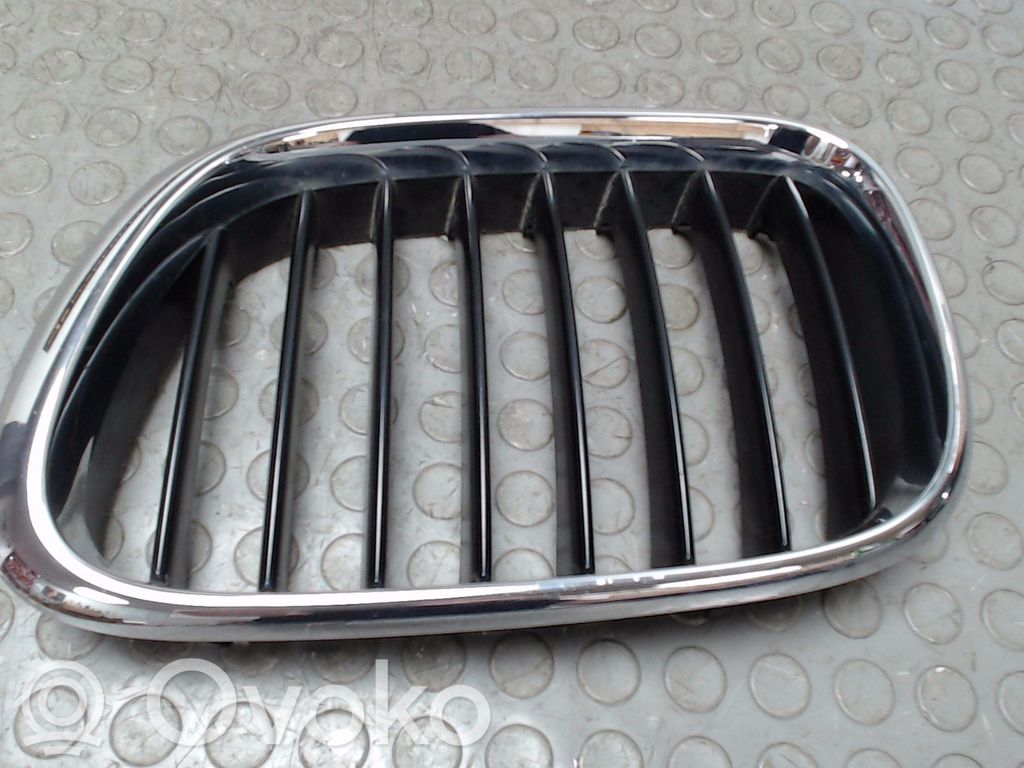 BMW X5 E53 Rejilla delantera 