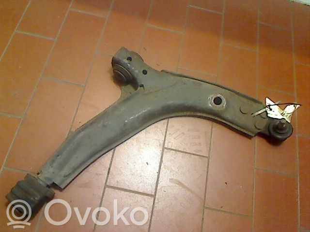 Front lower control arm/wishbone