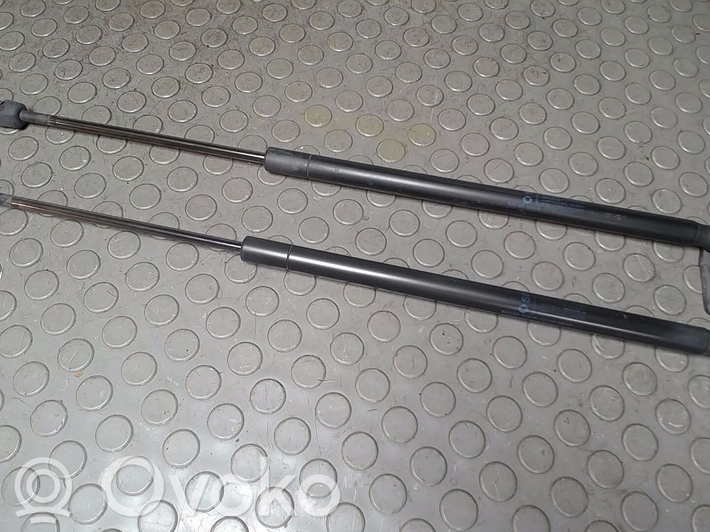 Smart ForFour I Tailgate/trunk strut/damper 