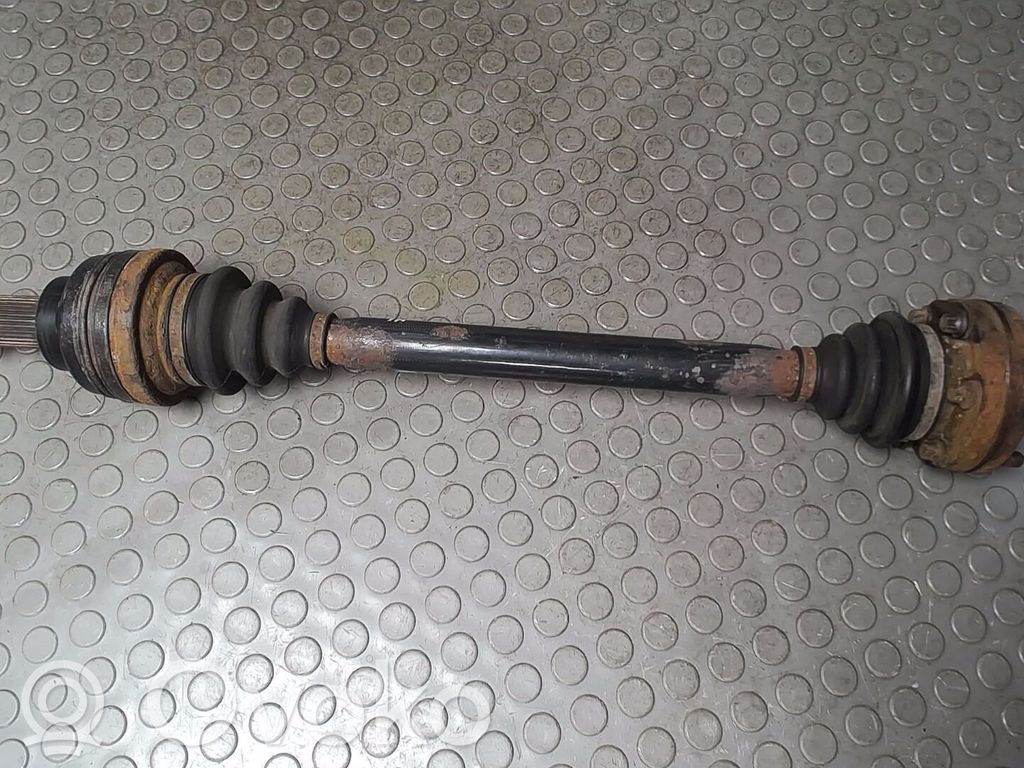 BMW 5 E39 Galinis pusašis 