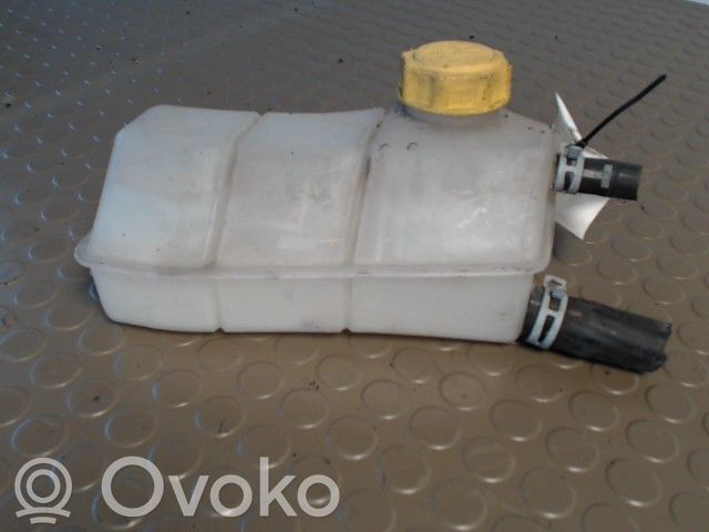 Ford Ka Dzesēšanas šķidruma izplešanās tvertne 