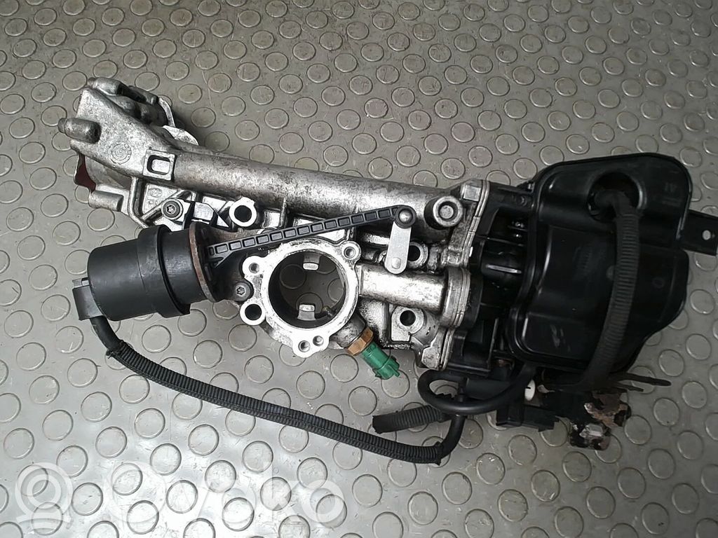 Válvula EGR   55566052,NICHTZUTREFFEND