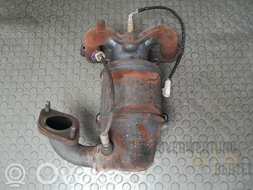 Ford Fiesta Galerie evacuare 