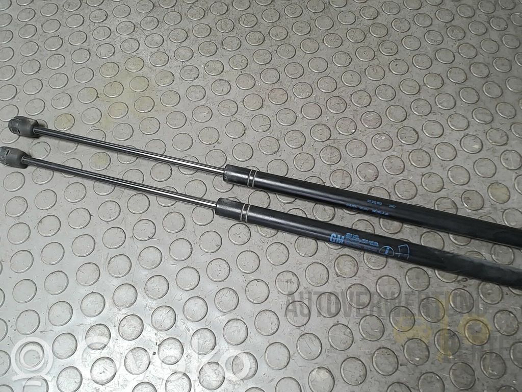 Amortyzator klapy tylnej bagażnika   13241975,05132262