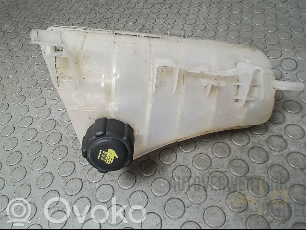 Renault Kangoo II Vas expansiune/rezervor lichid de răcire 
