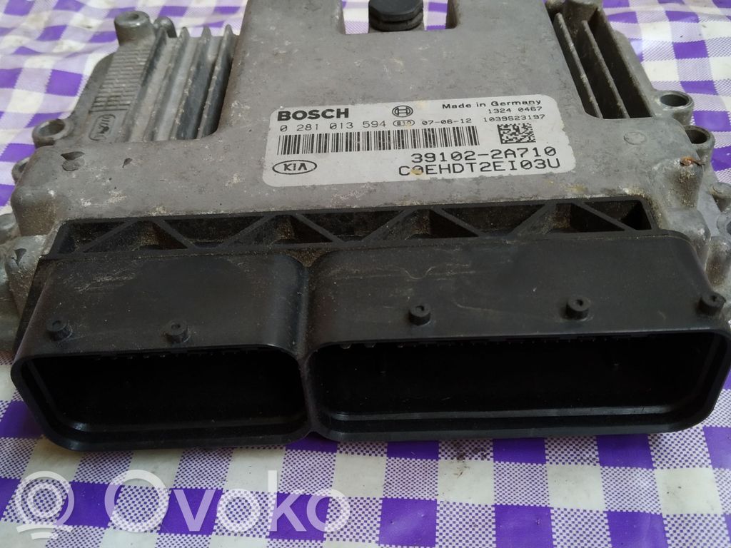 Variklio valdymo blokas   0281013594,391022A710,1039S23197