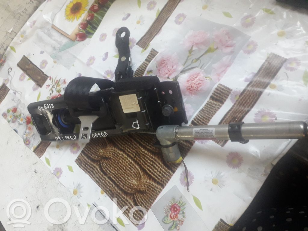 Cinturón delantero   081764852T