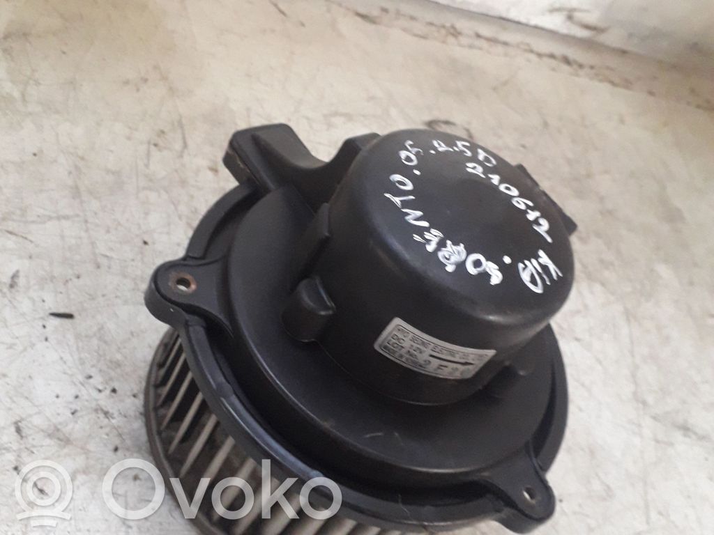 Pečiuko ventiliatorius/ putikas   2F20