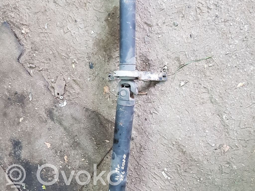 Drive shaft (set)