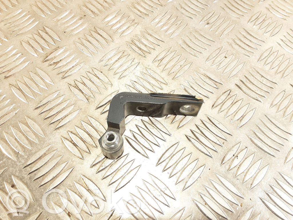 Front door lower hinge   31457959