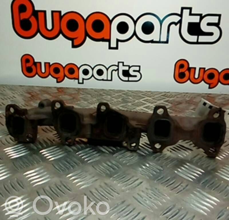 Duslintuvo antgalis   73501340