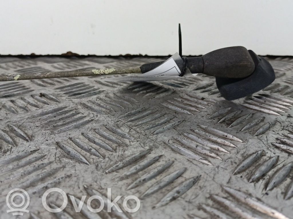 Antenos stiprintuvas   RENAULTKANGOO
