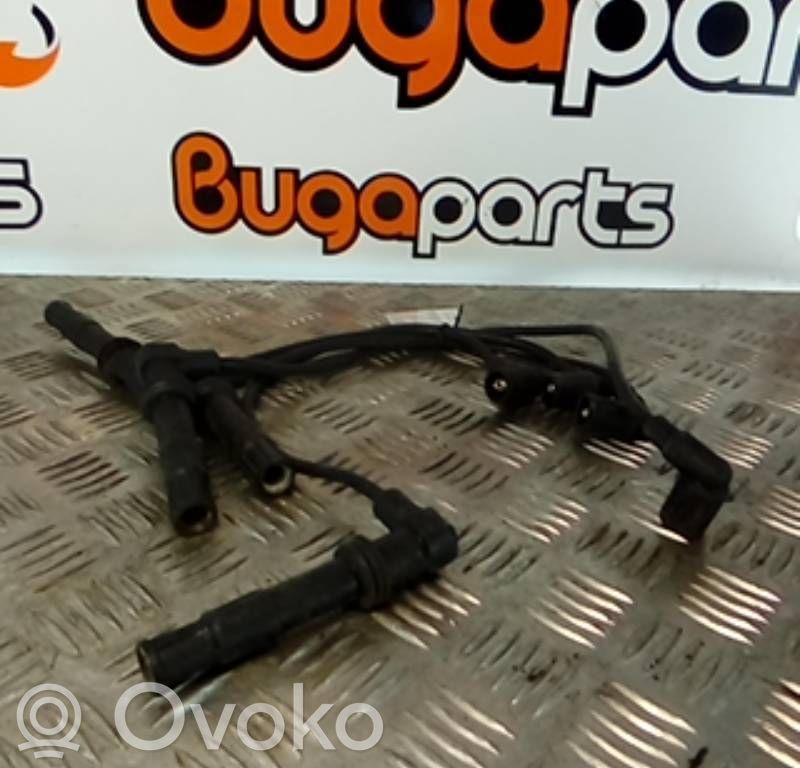 Skoda Fabia Mk1 (6Y) Cewka zapłonowa wysokiego napięcia 