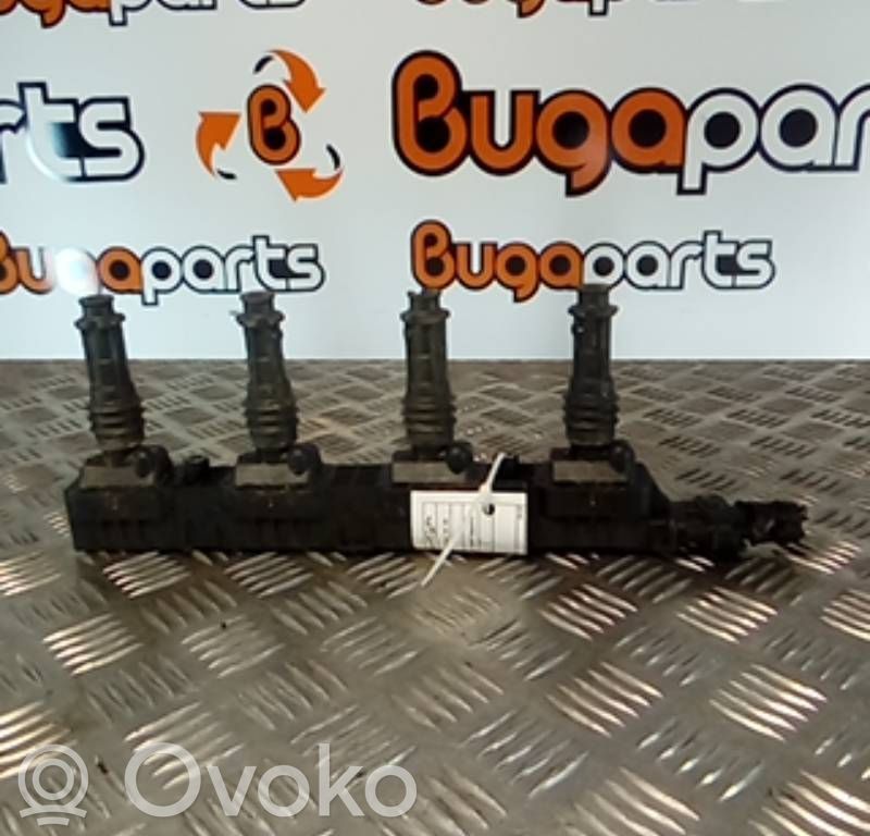 Aukštos įtampos ritė "babyna"   0221503472