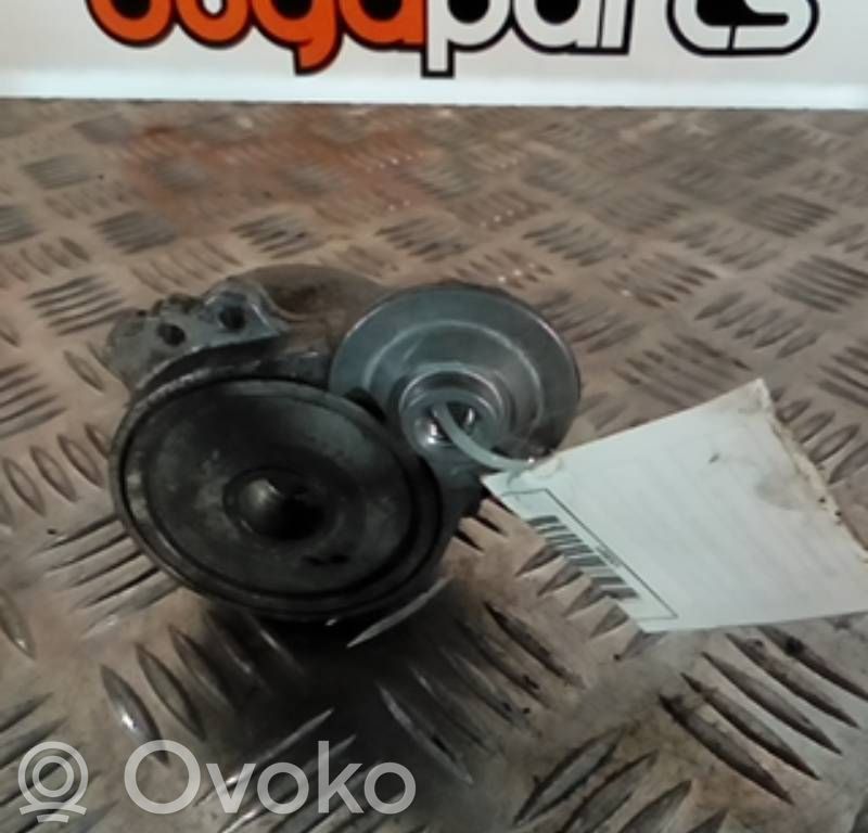 Diržo įtempėjas   1961107,DAYCO