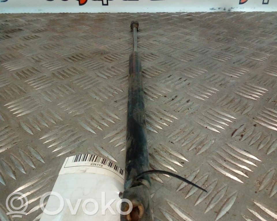 Tailgate/trunk strut/damper