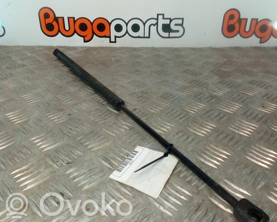Tailgate/trunk strut/damper   512664,7636049