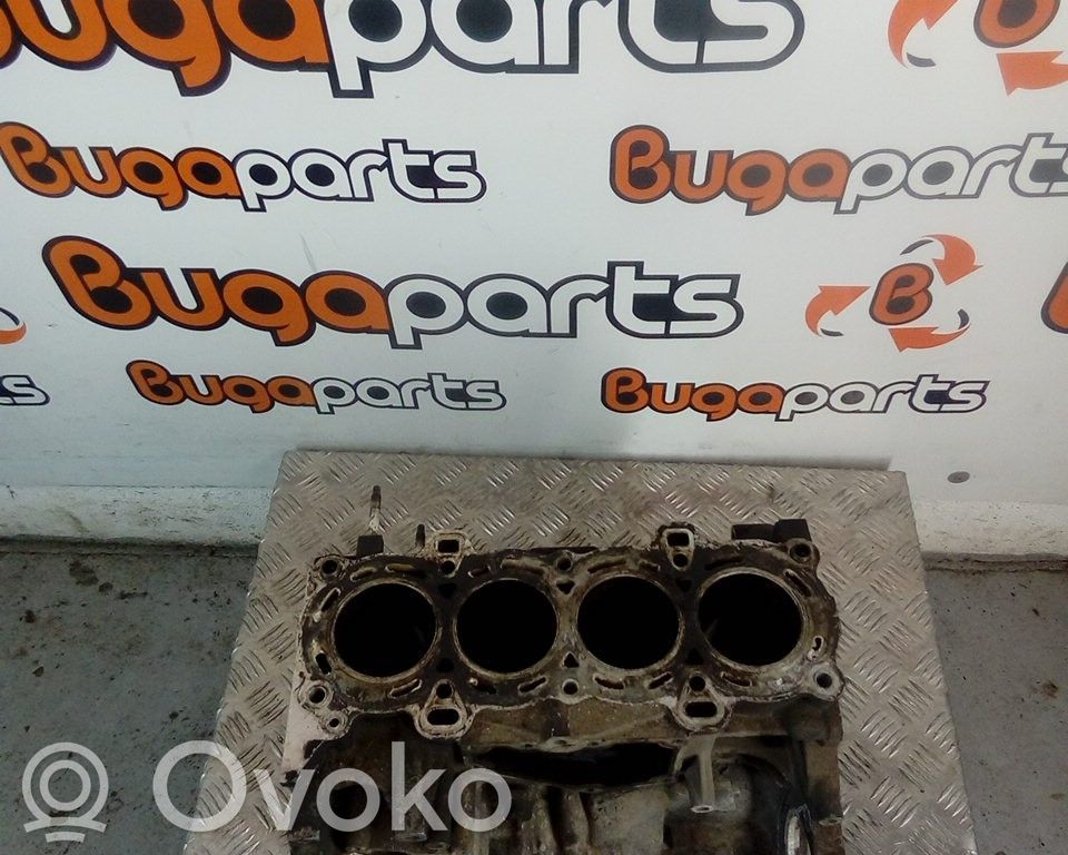 Ford Fiesta Blokas 
