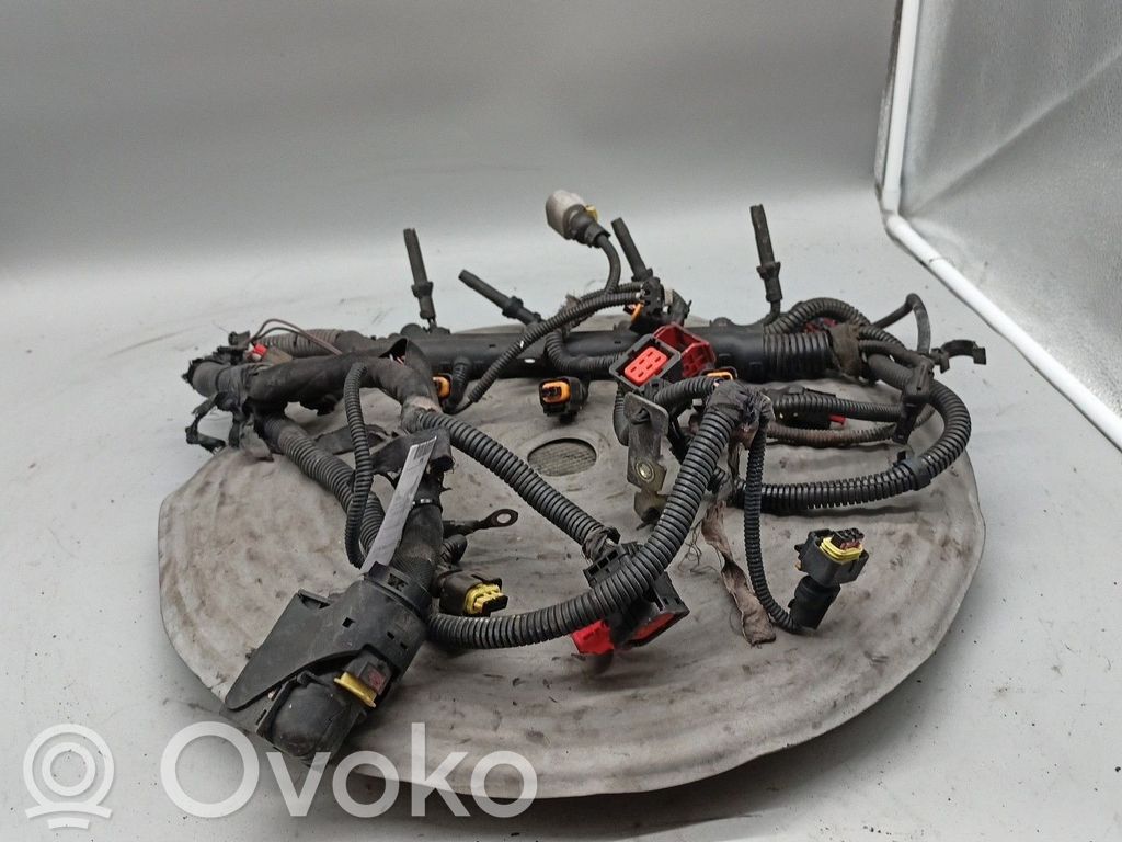 Engine installation wiring loom   55181094,MOTORD13A