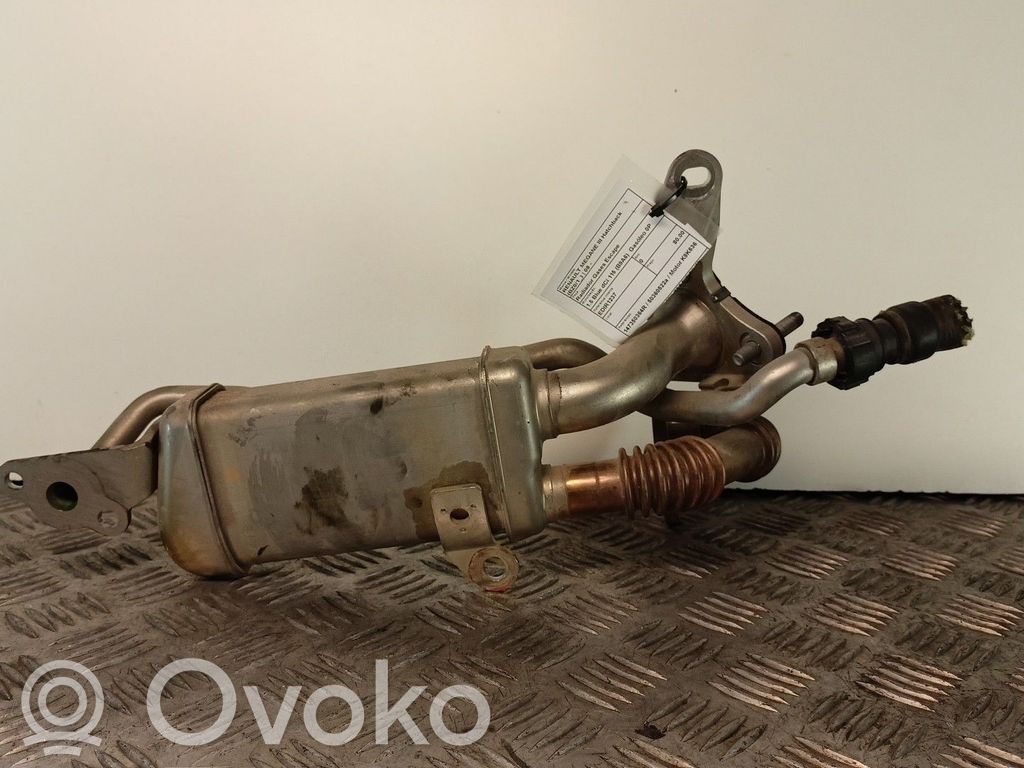 EGR aušintuvas   147350364R,50360522A,MOTORK9K636