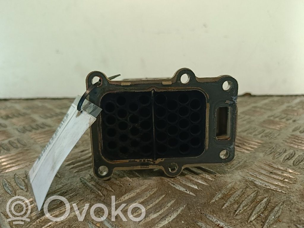 Volkswagen Polo V 6R Refrigerador de la válvula EGR 