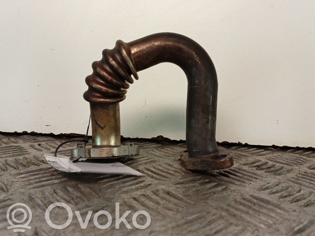 Válvula EGR   MOTORCAYA