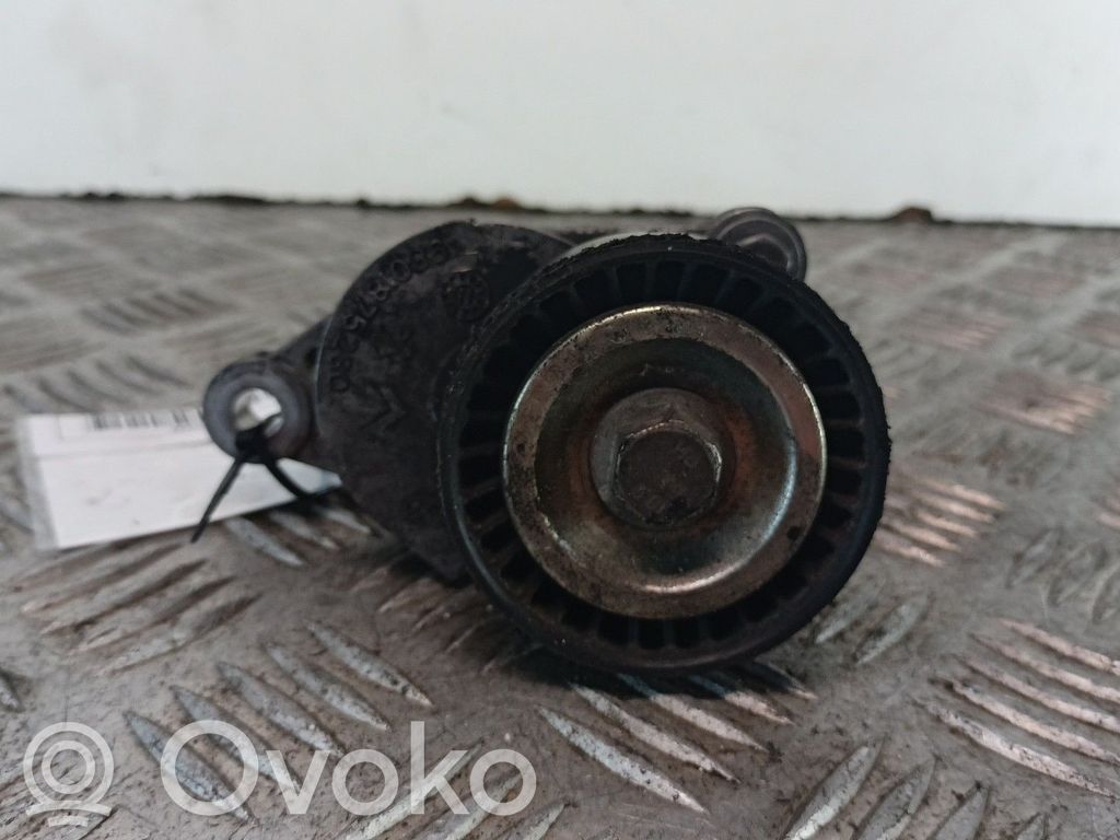 Citroen DS3 Întinzător curea generator/alternator 