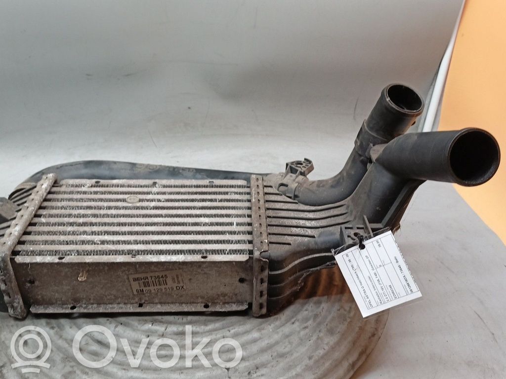 Radiatore intercooler   09129519DX,73645,BEHR