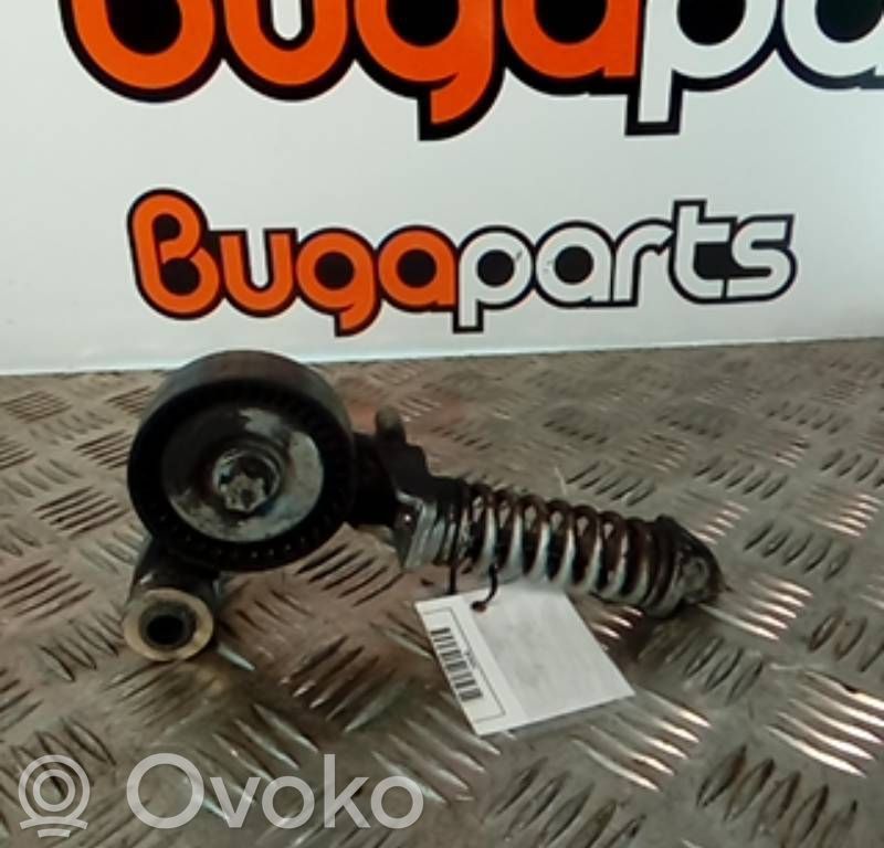Tensor de correa del alternador   55352021AW,Z12XE