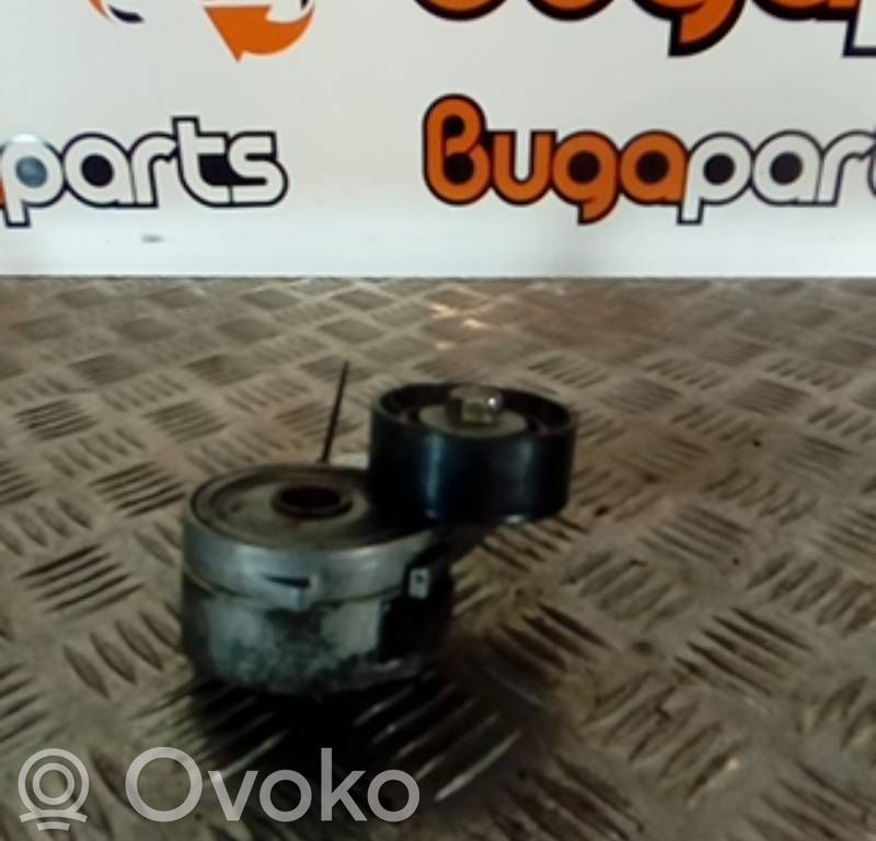 Diržo įtempėjas   DAYCO