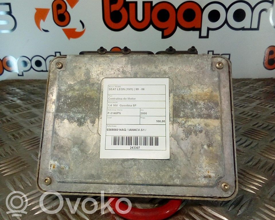 Dzinēja vadības bloks   036906014AQ,IAW4CVS1