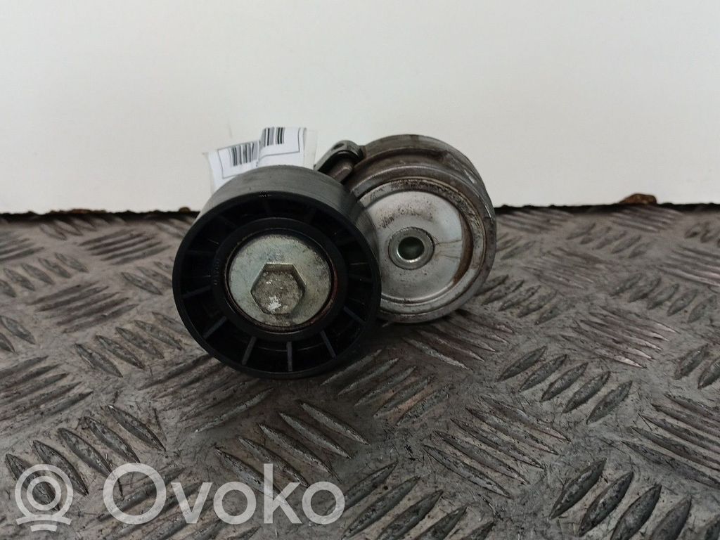 Fiat Stilo Generator/alternator belt tensioner 
