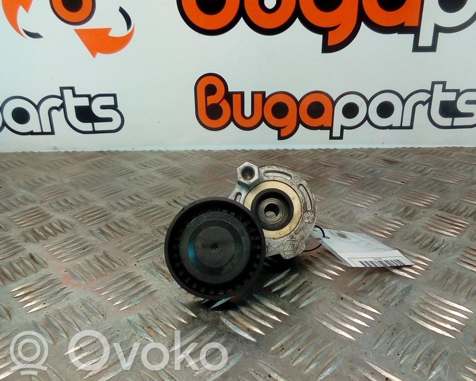 Dacia Duster Generator/alternator belt tensioner 