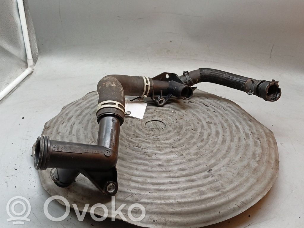 Tubo/manguera refrigerante   1336AW,9671124980,9684589080