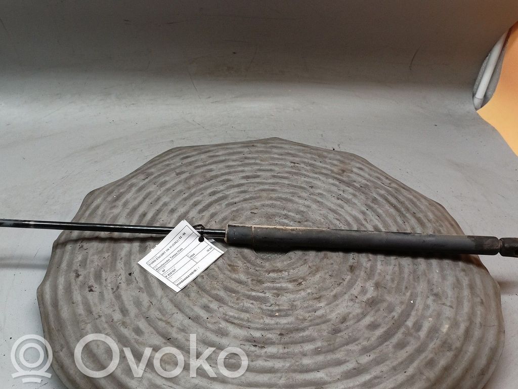 Amortizatorius galinio dangčio   93ABA406A10B1B