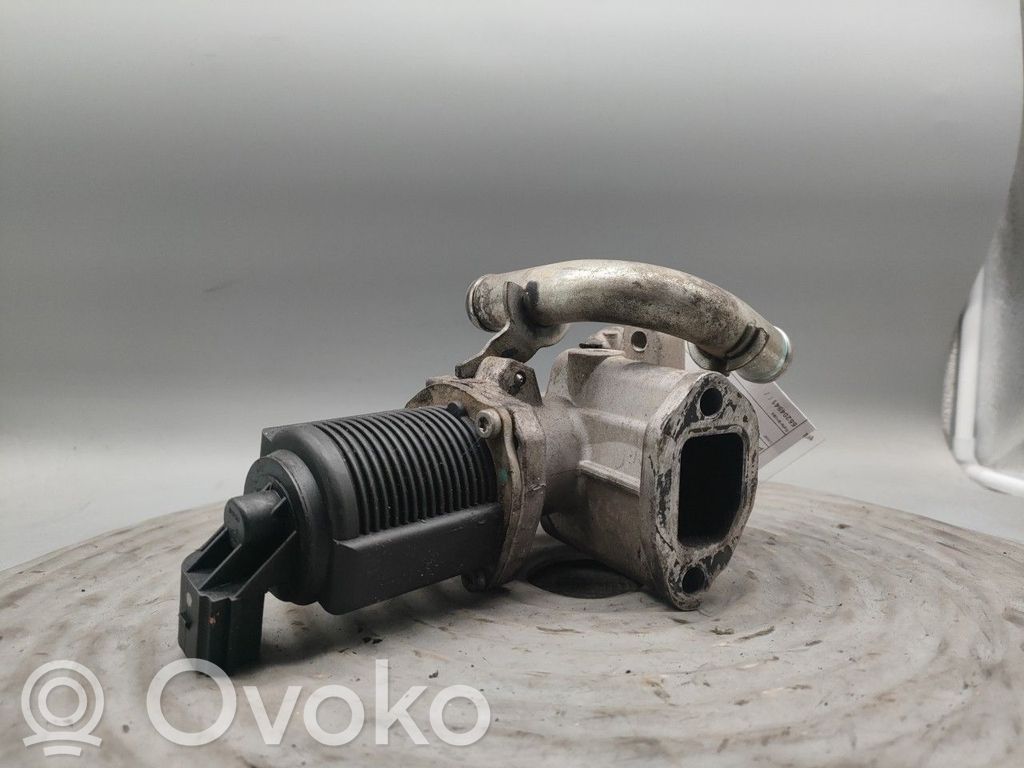 Válvula EGR   55204941