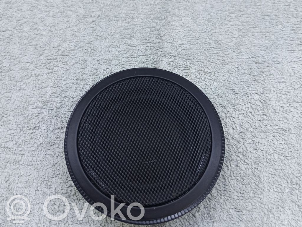 Panel speaker   8431837564205