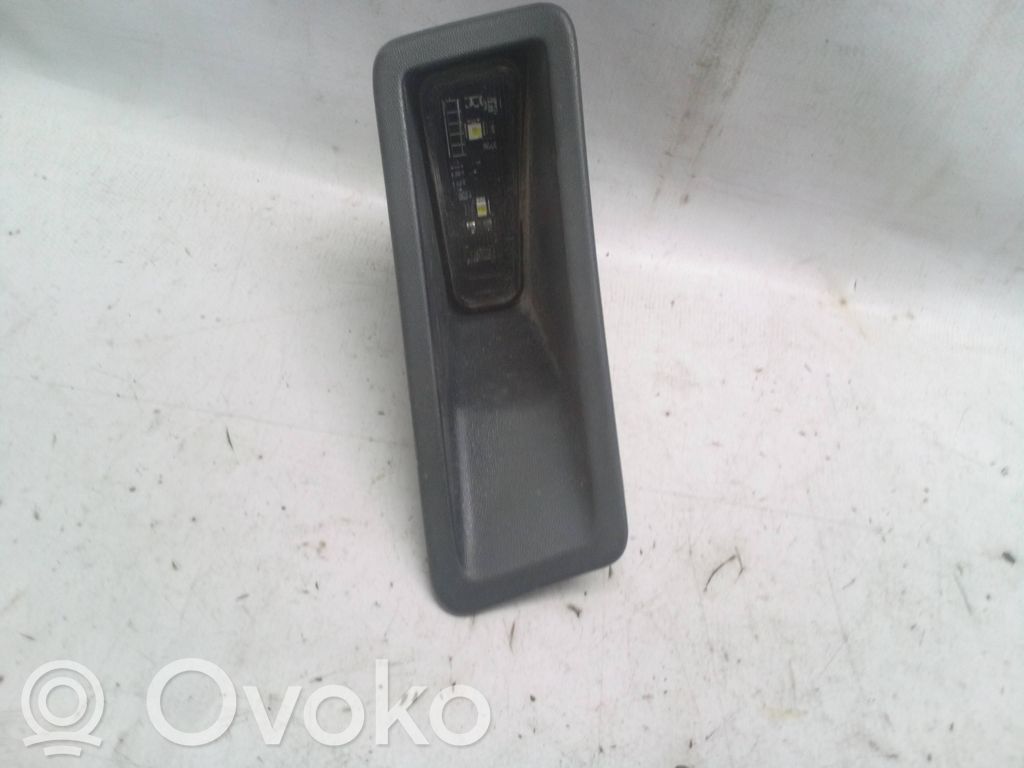 Dodge RAM Numerio apšvietimas 