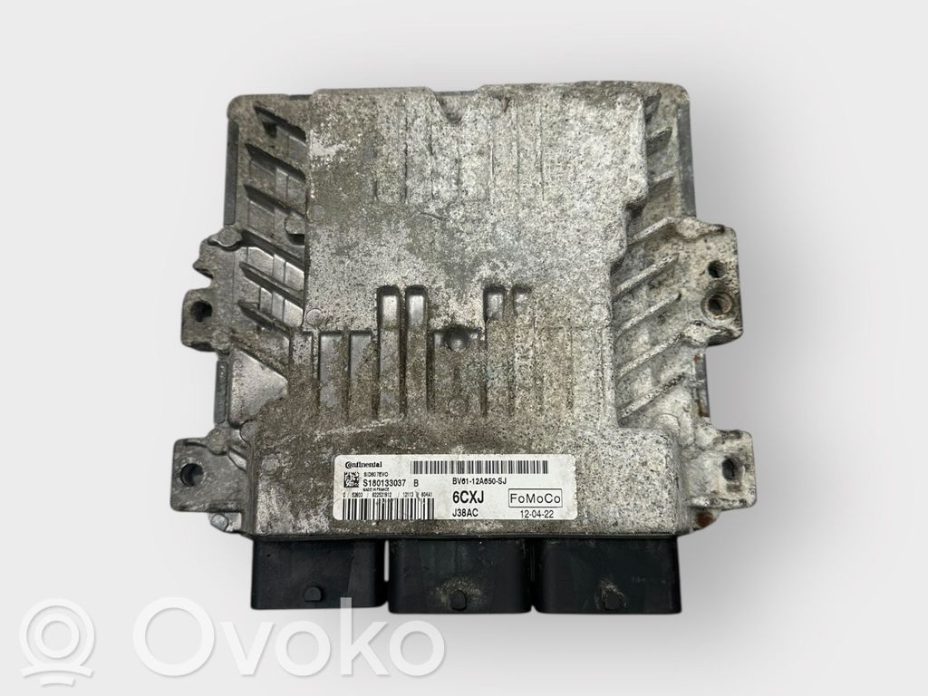 Ford Focus Engine control unit/module 