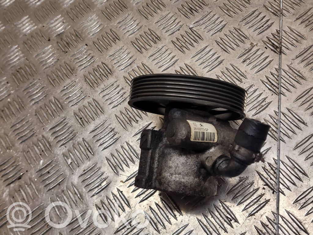Citroen Berlingo Power steering pump 