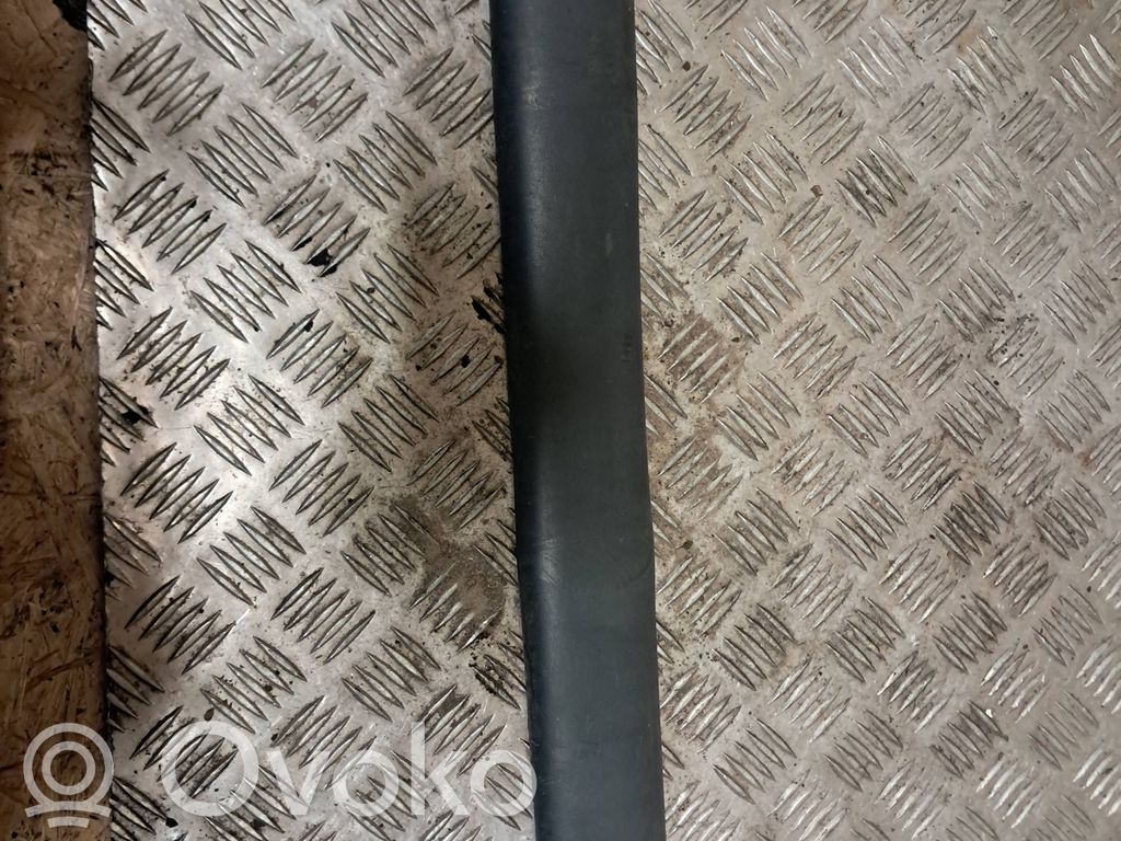 Mască ușă spate (turnată)   7700304635,25748